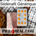 Sildénafil Générique new13